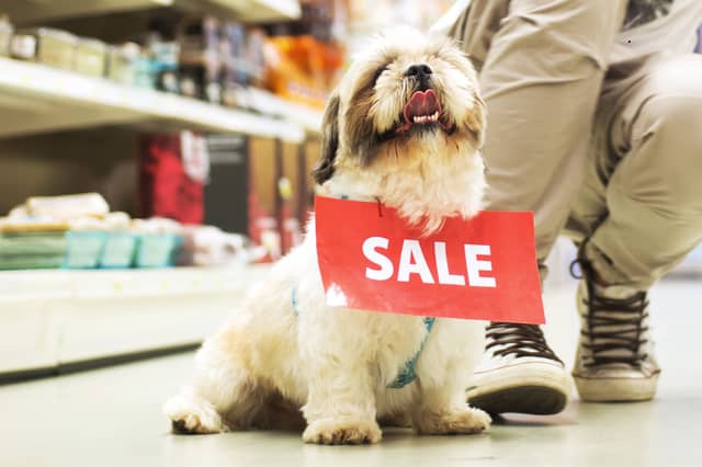 Different breeds of dog command very different puppy prices.