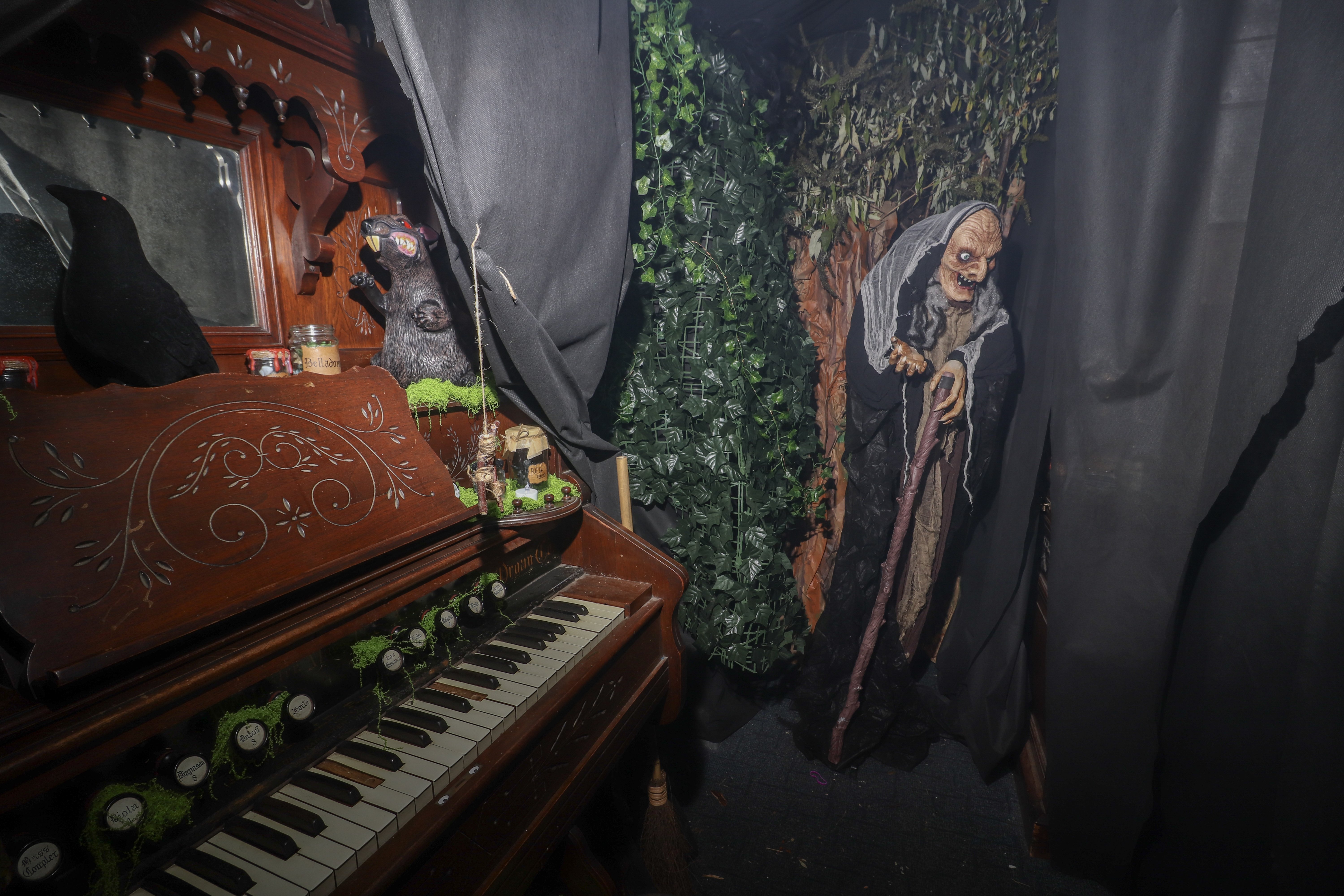 Petersfield Bookshop, Petersfield, is having a Halloween Walkthrough from Wednesday, October 28, 2026. 

Pictured: Inside the spooky bookshop

Picture: Habibur Rahman