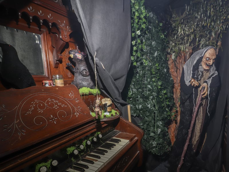 Petersfield Bookshop, Petersfield, is having a Halloween Walkthrough from Wednesday, October 28, 2026. 

Pictured: Inside the spooky bookshop

Picture: Habibur Rahman