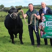‘Fermanagh Stars’ Multi-Breed Calf Show ready for Hallowe’en extravaganza