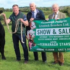 Discussing arrangements for the show are from left, Thomas Keelagher, committee member Fermanagh Pedigree Livestock Breeders Ltd; Robert Brownlee, chairman of Fermanagh Pedigree Livestock Breeders Group Ltd; Stuart Johnston, managing director of Ulster Farmers Mart Co. Ltd; and Edwin Morrison, honorary member FPLB group. SU2845CD26