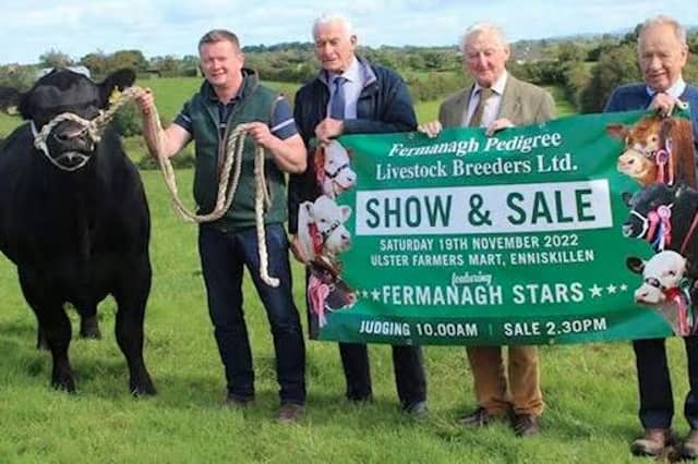 Discussing arrangements for the show are from left, Thomas Keelagher, committee member Fermanagh Pedigree Livestock Breeders Ltd; Robert Brownlee, chairman of Fermanagh Pedigree Livestock Breeders Group Ltd; Stuart Johnston, managing director of Ulster Farmers Mart Co. Ltd; and Edwin Morrison, honorary member FPLB group. SU2845CD26