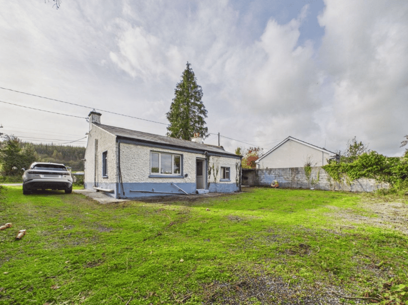 Back of the property