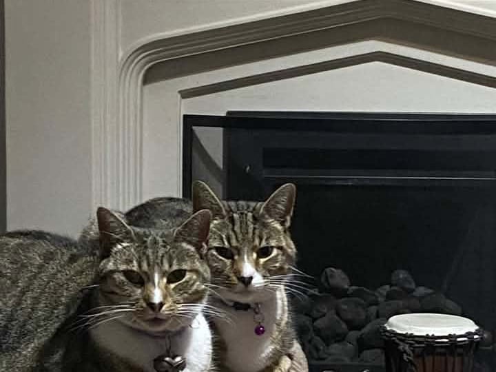 Drax and Quill are looking stern from their sofa perch, but we’re not sure who is who!  