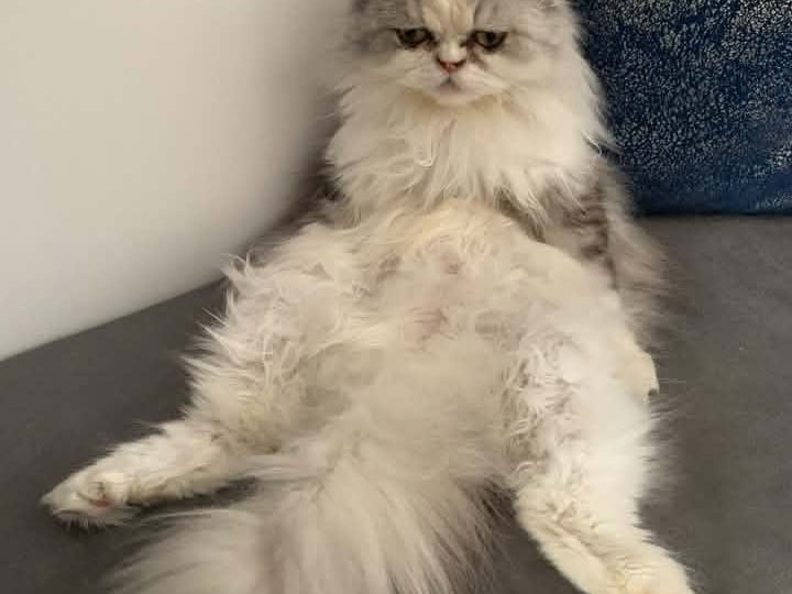 Janet clearly didn’t realise the photographer was coming and was caught off-guard as she slouched on the sofa