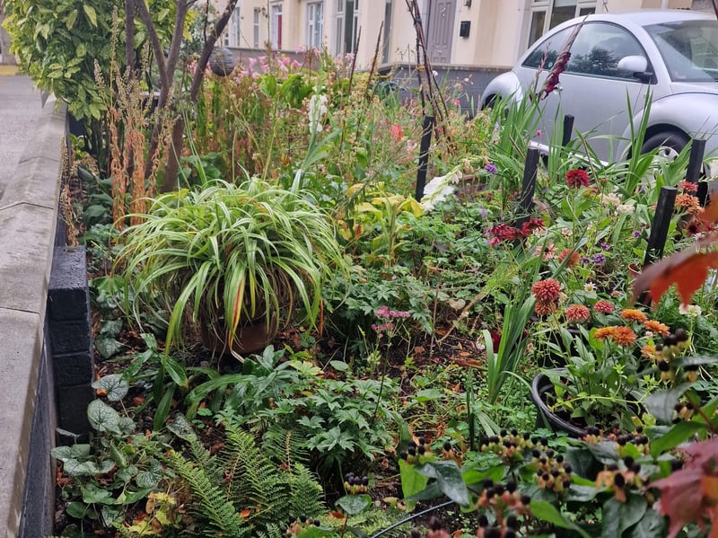 A great looking garden!