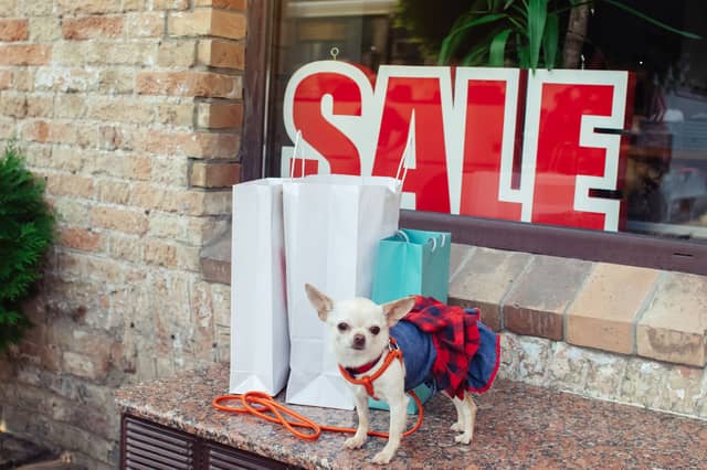 Different dog breeds come at very different prices.