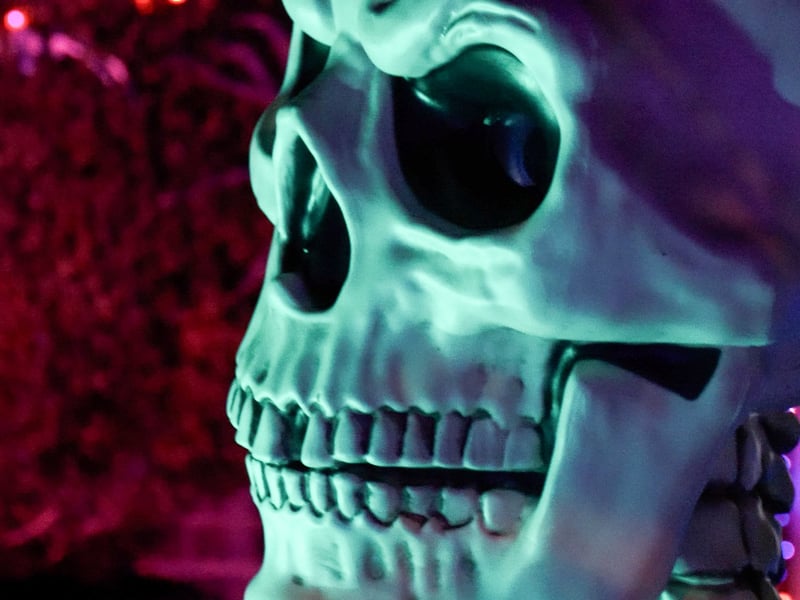 Newton Drive Halloween House raising funds for Healthier Heroes charity. Photo: Lucinda Herbert