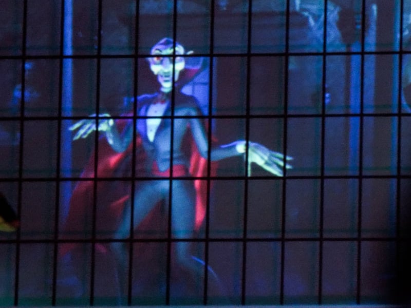 Newton Drive Halloween House raising funds for Healthier Heroes charity. Photo: Lucinda Herbert