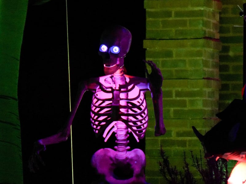Newton Drive Halloween House raising funds for Healthier Heroes charity. Photo: Lucinda Herbert