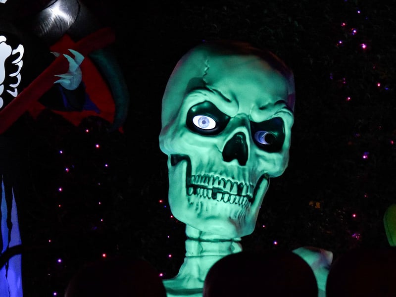 Newton Drive Halloween House raising funds for Healthier Heroes charity. Photo: Lucinda Herbert