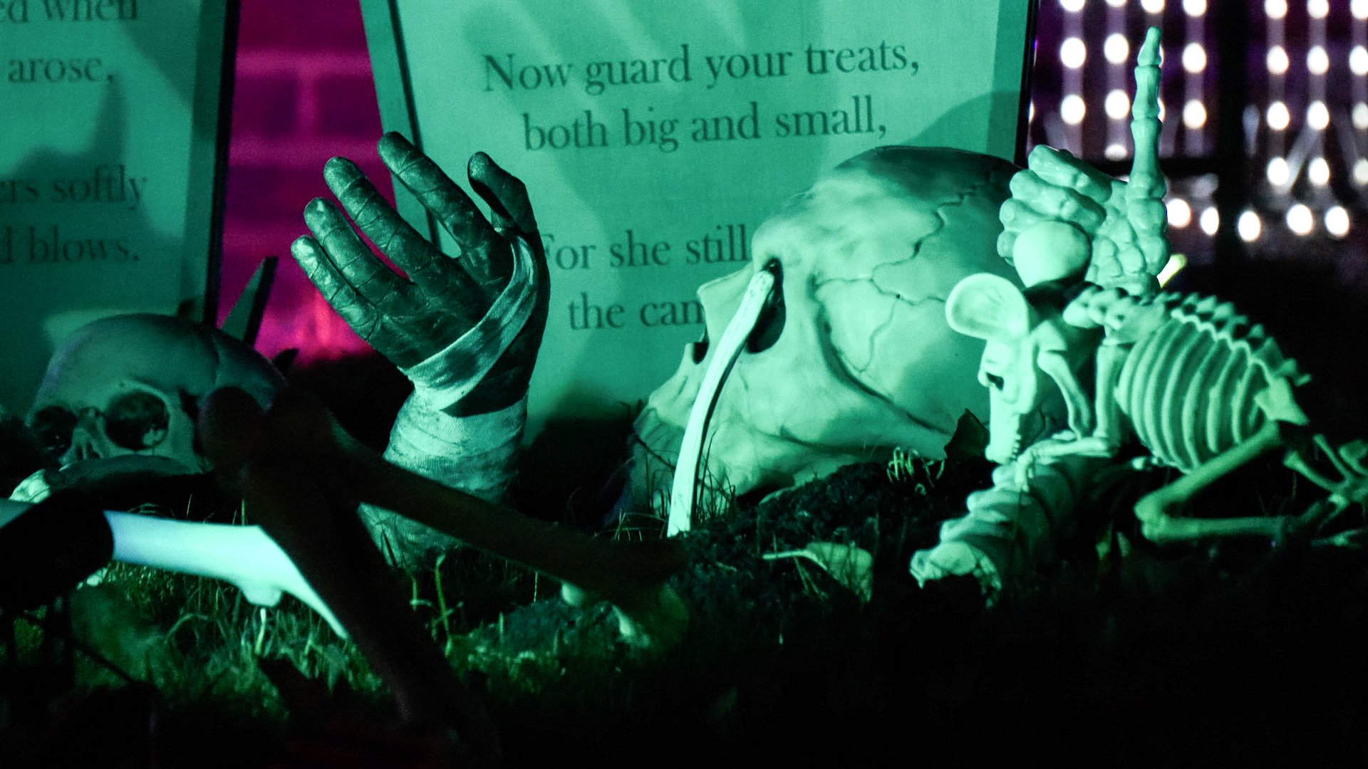 Newton Drive Halloween House raising funds for Healthier Heroes charity. Photo: Lucinda Herbert