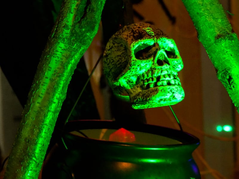 Devonshire Road Halloween House raising funds for Brian House charity. Photo: Lucinda Herbert