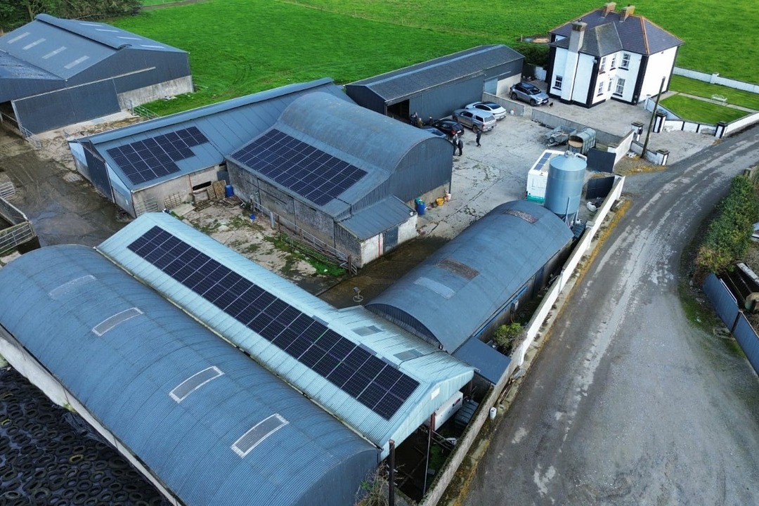 The Irish dairy farmer cutting farm electricity costs with solar and batteries