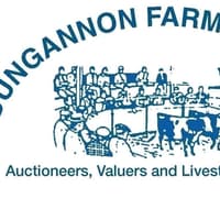Fat lambs selling to a top price of £150 per pen at Dungannon Mart