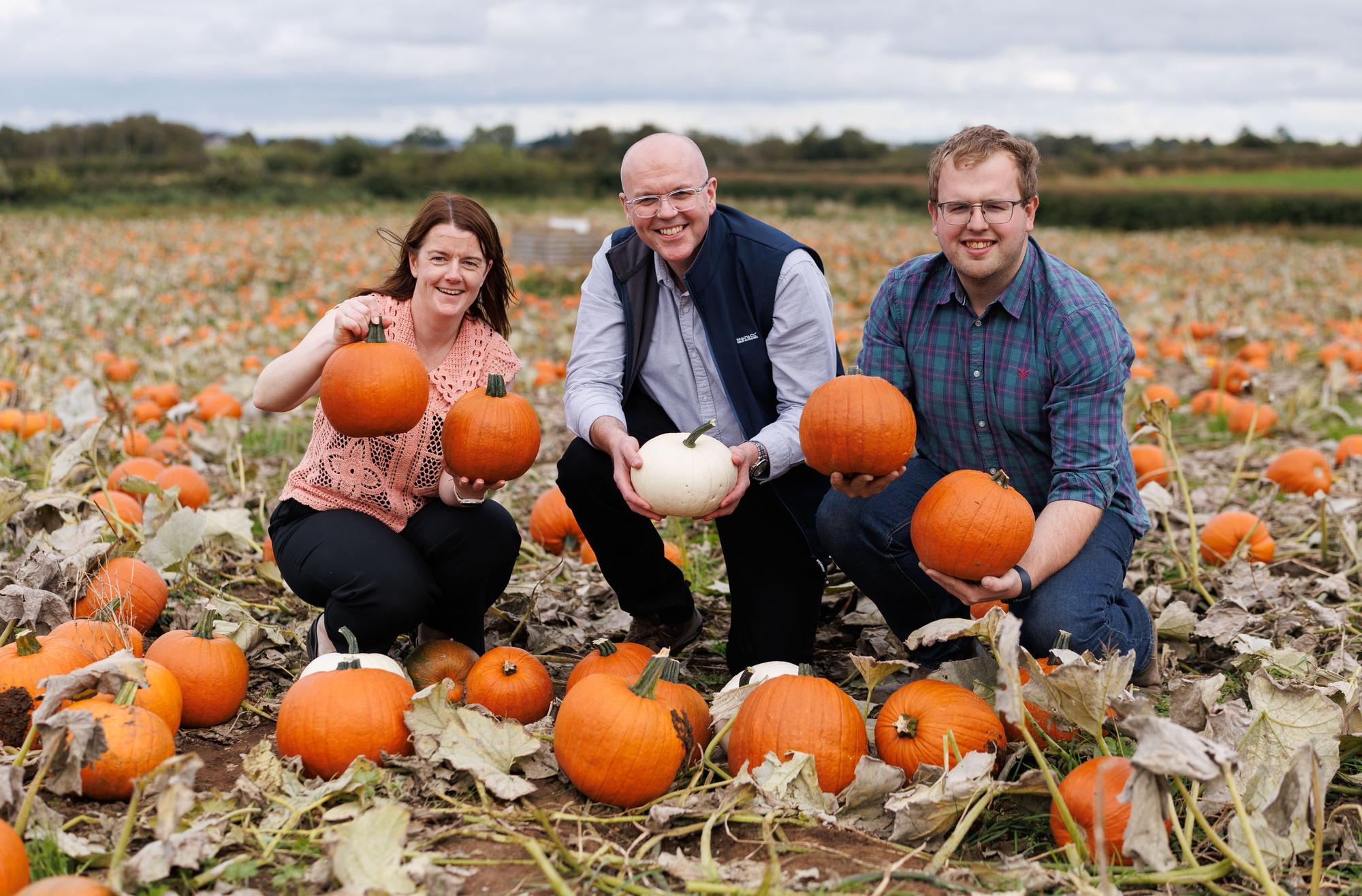 Loughgall-grown pumpkins on sale for first time in Tesco stores this Halloween