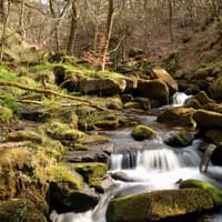 Embrace Autumn Unplugged in Northern Ireland